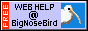 Big Nose Bird