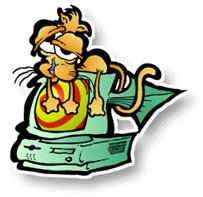 Cat on computer